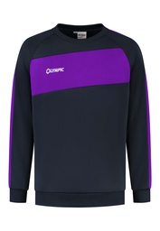 [10/01/06003/1041/M] 10/01/06003 CITY SWEATER (M, PURPLE/NAVY/WHITE)