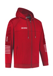 [10/01/06044/2080/116] 10/01/06044 STRIPED HOODED JACKET (116, ROOD/ZWART)